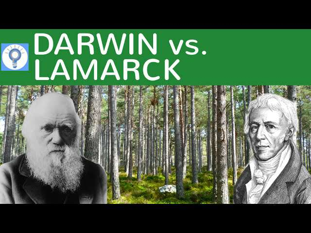 Cover: Darwin vs. Lamarck - Evolutionstheorie von Lamarck und Darwin im Vergleich | Evolution 8