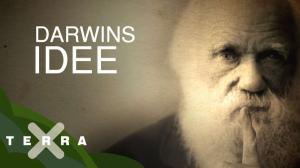 Cover: Evolutionstheorie - Charles Darwins Revolution​ | Terra X statt Schule