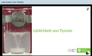 Cover: Löslichkeit von Tyrosin 