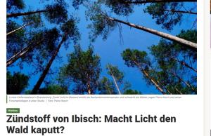 Cover: Macht Licht den Wald kaputt? 