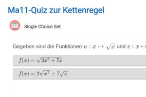 Cover: Ma11-Quiz zur Kettenregel | ZUM-Apps