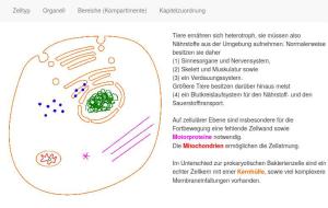 Cover: Eukaryotische Zelle