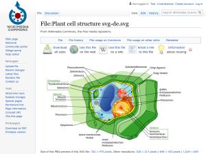 Cover: Plant cell structure svg-de.svg - Wikimedia Commons