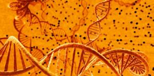 Cover: DNA - Bauplan des Lebens