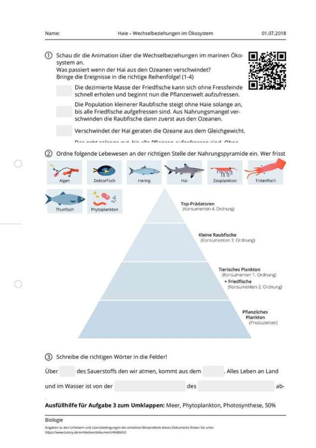 Cover: Haie – Wechselbeziehungen im Ökosystem