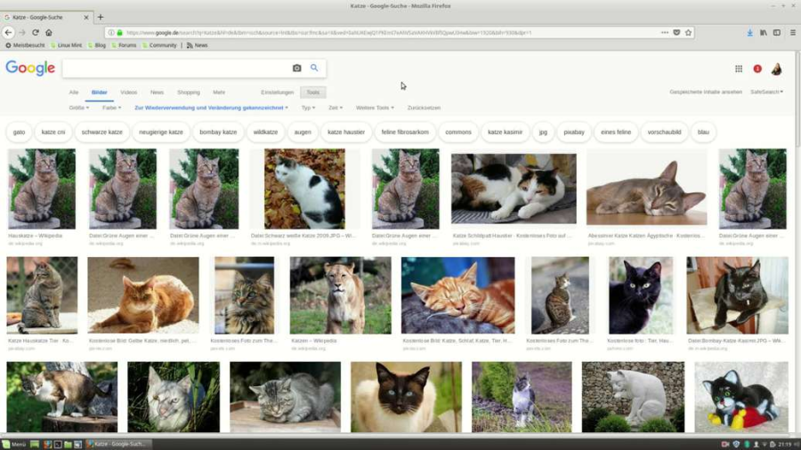 Cover: Screencast-Tutorial zur Google Bildersuche